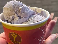 -源茂冷饮厅(哈尔滨中央大街店)