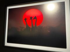 -罗红摄影艺术馆