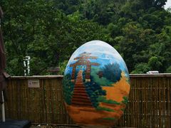 -西双版纳原始森林公园
