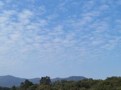 -佛手湖郊野公园