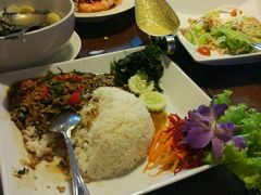 -Daddy Nimman Chiang Mai