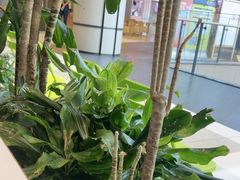 -烹然四季椰子鸡火锅(姚家园万象汇店)