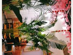 -椰贝原味椰子鸡(江南万达店)