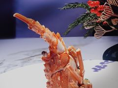 金蒜蒸小青龙-曼格纳·曼芯馆(杨浦店)