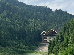 -武陵山森林公园