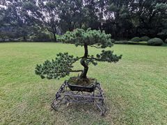 -申粤轩酒楼·三十年粤菜经典(丁香花园店)