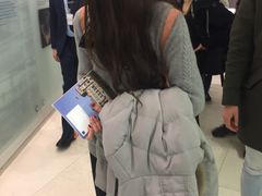-德国国会大厦