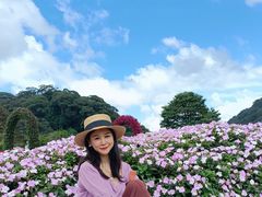 -广州市石门国家森林公园