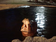 -清迈夜间动物园