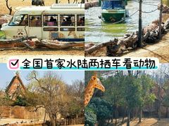 -郑州银基国际旅游度假区