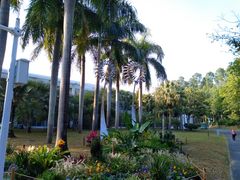 -深圳国际园林花卉博览园