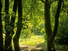 -长春公园(普阳街道)