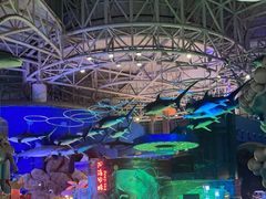 -烟台海昌鲸鲨海洋公园