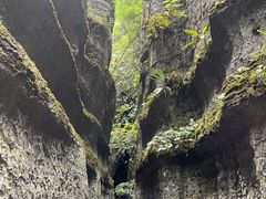 -梭布垭石林景区