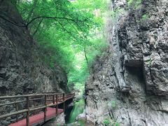 -九龙潭景区