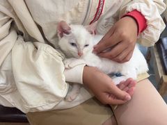 -贝利宠物医院·骨科·眼科·肿瘤转诊中心(南坪诊疗中心)
