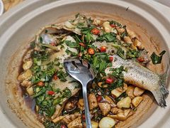 -滇铺子·云南特色菜·第九届野生菌美食节(东风东路c86店)