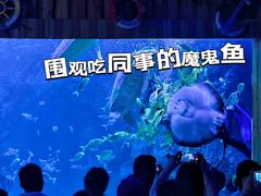 -左海海底世界