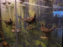 -下渚湖国家湿地公园科普馆