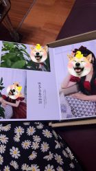 -韩慕婚纱摄影(九亭店)