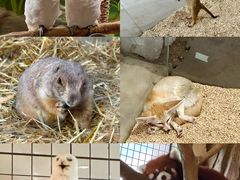 -海合安武汉极地海洋公园