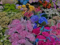 -双季花艺园艺市场(浦东店)