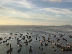 -枸杞岛