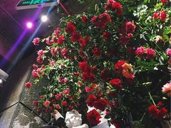 -范设计花园餐酒咖·中西餐·咖啡厅·酒馆