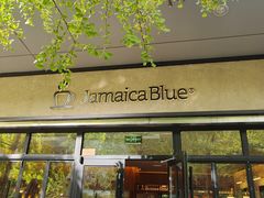 -JamaicaBlue(新城国际店)