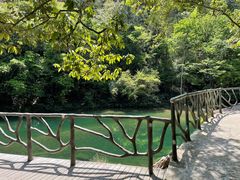 -龙湾潭国家森林公园