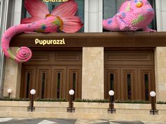 -帕帕拉兹宠物(亚洲旗舰店)