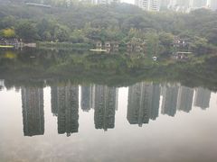 -重庆彩云湖湿地公园
