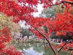 -岳麓山风景名胜区