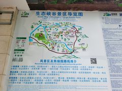 -碧峰峡风景区