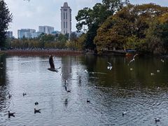 -翠湖宾馆·中餐厅