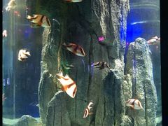 -福州罗源湾海洋世界旅游区