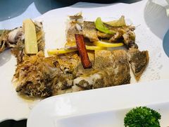 -骏莱海鲜鱼港(五角场店)
