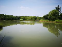 -梁鸿国家湿地公园
