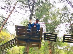 -梦幻奥陶纪景区