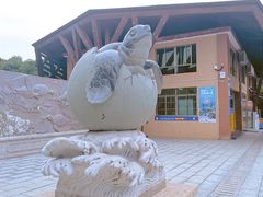 -广东惠东海龟国家级自然保护区