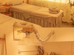 -左悦·艾灸调理·推拿按摩·精油SPA(卓悦汇店)