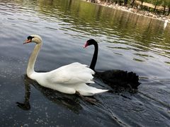 -石家庄市动物园