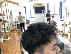 -Z.F私人订制