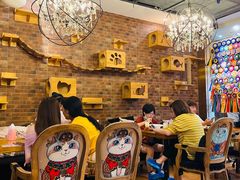 大堂-more than meow吴止猫主题餐厅(承德 中船汇店)