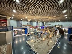 -国家自然博物馆