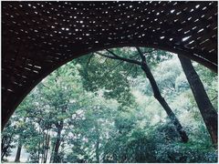 -东湖落雁景区