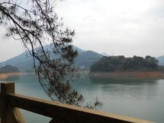 -广州市流溪河国家森林公园