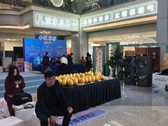 -红星美凯龙北京至尊MALL(东四环中路店)