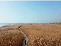 -野鸭湖国家湿地公园