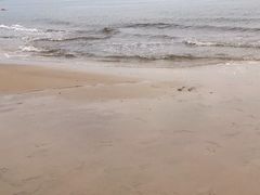 -东疆建设开发纪念公园